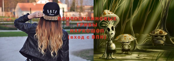 mix Елабуга