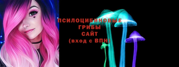 экстази Михайлов