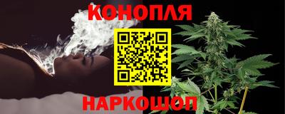 гидропоника Бийск