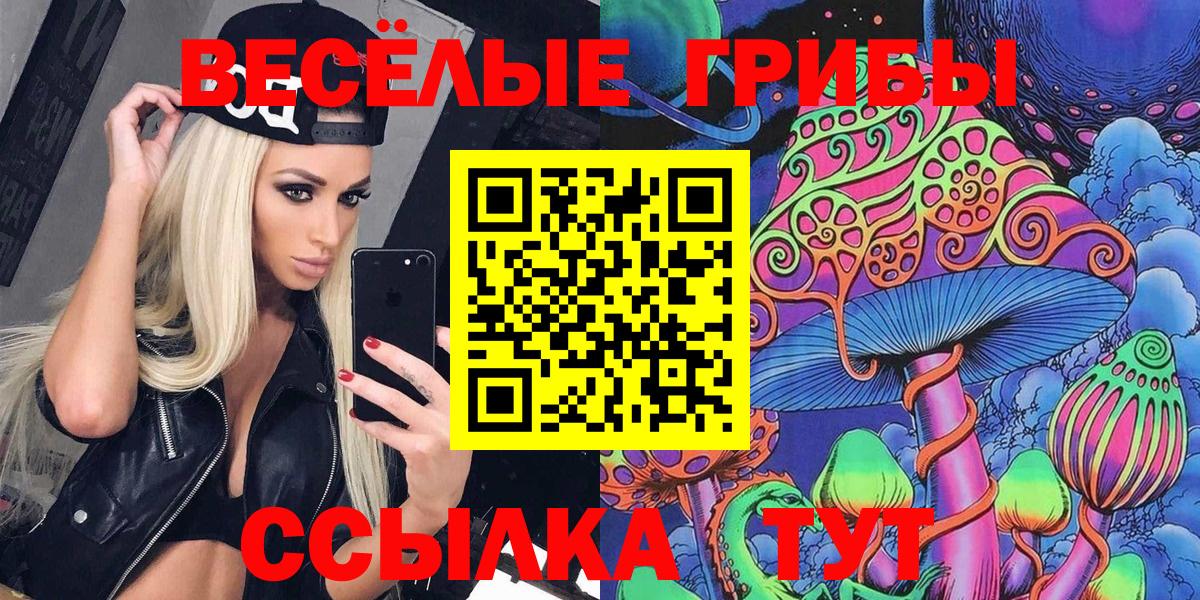Псилоцибиновые грибы Psilocybine cubensis Благодарный