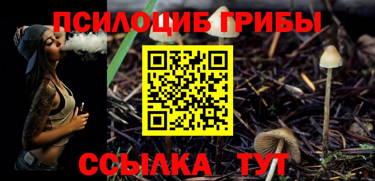 купить наркотики сайты  Вход с VPN  Благодарный  Галлюциногенные грибы прущие грибы  Галлюциногенные грибы Psilocybine cubensis 