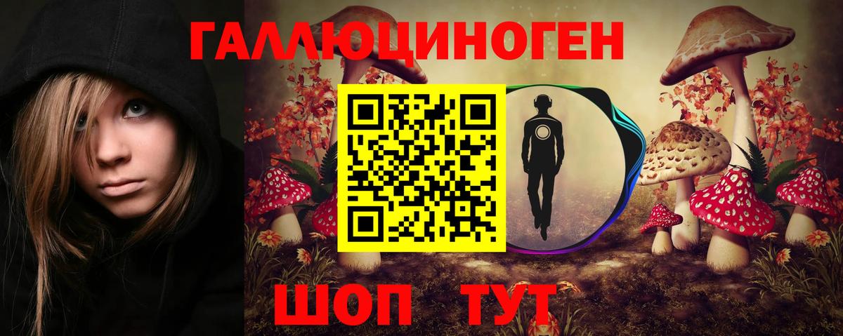 Галлюциногенные грибы Psilocybine cubensis  Благодарный 